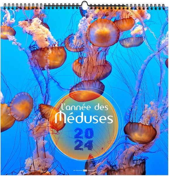 Calendrier illustré 2024 - l'année des méduses - 480 x 480 mm