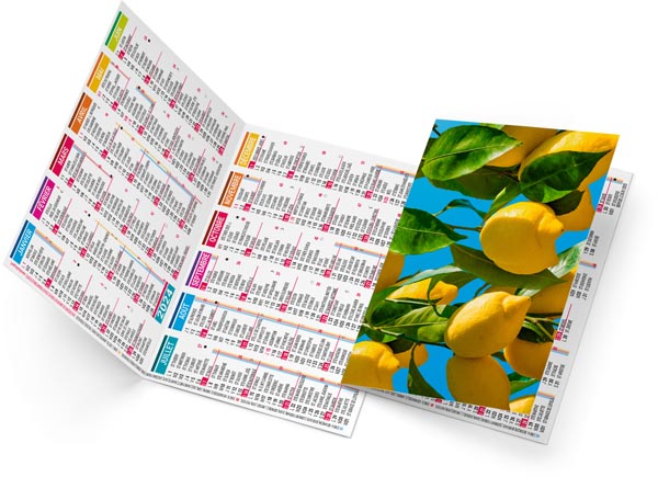 calendrier de poche pharma-2 - 110 x 156 mm