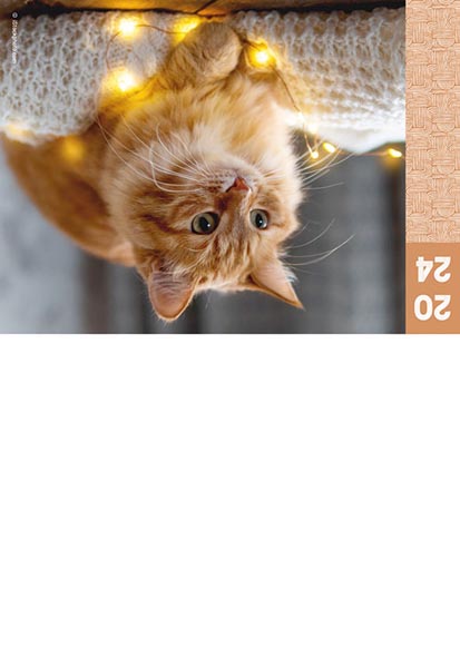 Calendriers publicitaires poches animaux, Nos amis