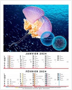 Calendrier illustré 2024 - bloc anna - 240 x 410 mm 1