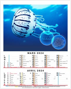 Calendrier illustré 2024 - bloc anna - 240 x 410 mm 2