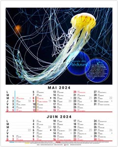 Calendrier illustré 2024 - bloc anna - 240 x 410 mm 3