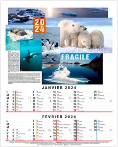 Calendrier illustré 2024 - bloc théo - 240 x 410 mm 1