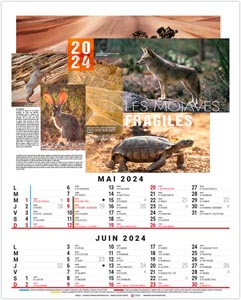 Calendrier illustré 2024 - bloc théo - 240 x 410 mm 3