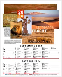 Calendrier illustré 2024 - bloc théo - 240 x 410 mm 5