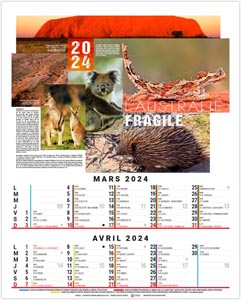 calendrier vide poche théo - 300 x 430 mm 2