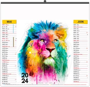 Calendrier illustré 2024 - éco animals pop art - 480 x 350 mm 3