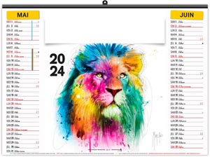 Calendrier illustré 2024 - éco animals pop art - 480 x 350 mm 9