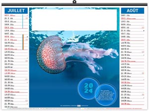 Calendrier illustré 2024 - éco l'année des méduses - 480 x 350 mm 10