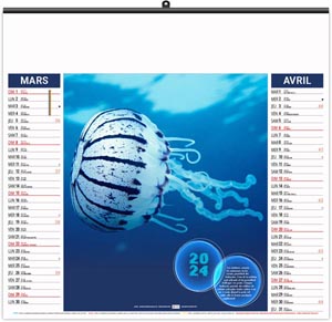 Calendrier illustré 2024 - éco l'année des méduses - 480 x 350 mm 2