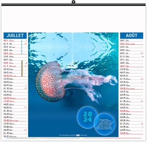Calendrier illustré 2024 - éco l'année des méduses - 480 x 350 mm 4