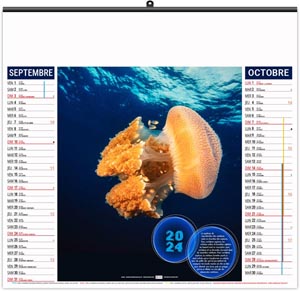 Calendrier illustré 2024 - éco l'année des méduses - 480 x 350 mm 5