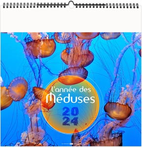 Calendrier illustré 2024 - l'année des méduses - 330 x 330 mm 2