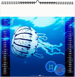 Calendrier illustré 2024 - l'année des méduses - 330 x 330 mm 5