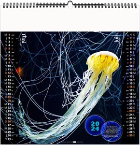 Calendrier illustré 2024 - l'année des méduses - 330 x 330 mm 6