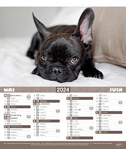 Calendriers publicitaires chats, Chiens et Chats 2