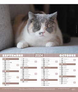 Calendriers publicitaires chats, Chiens et Chats 4