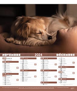 Calendriers publicitaires chats, Chiens et Chats 5