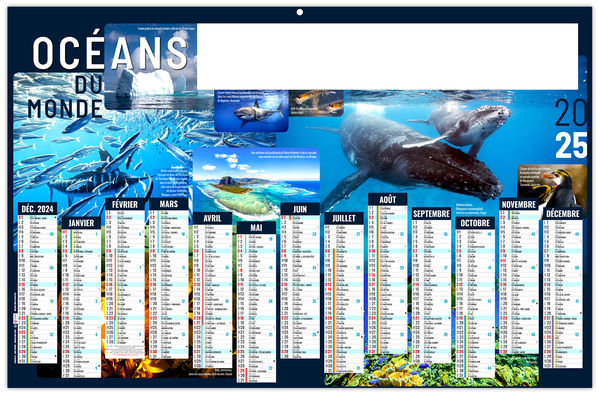 Calendrier personnalisable océans du monde 2025