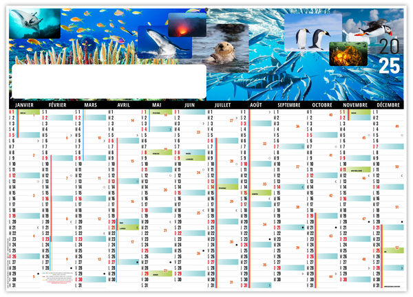 Calendrier personnalisable XXL effaçable planète océans 2025