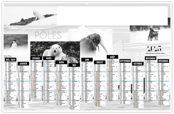 Calendrier personnalisé pôles 2025