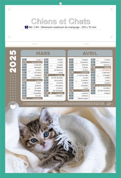 Calendriers publicitaires chats, Chiens et Chats