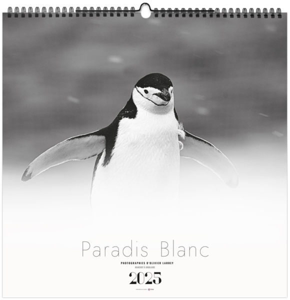 Calendrier entreprise paradis blanc 2025