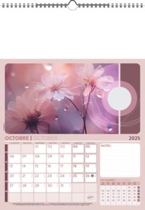 Calendrier Illustré Publicitaire - Survol 10