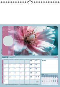Calendrier Illustré Publicitaire - Survol 3