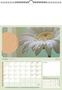 Calendrier Illustré Publicitaire - Survol 4
