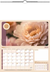Calendrier Illustré Publicitaire - Survol 5