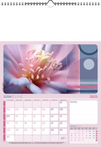 Calendrier Illustré Publicitaire - Survol 6