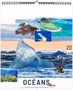 Calendrier personnalisé océans 2025 2