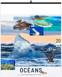 Calendrier personnalisé océans 2025 3