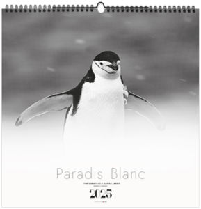 Calendrier personnalisé paradis blanc 2025