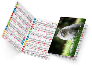 Calendrier poche félix 2025 1