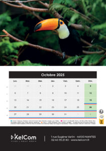 Calendrier publicitaire chevalet Animaux Portrait 10