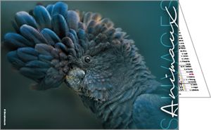 Calendrier publicitaire de poches, Nos animaux Préférés 1