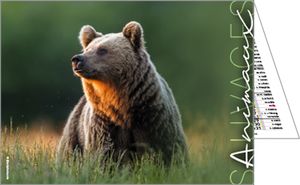 Calendrier publicitaire de poches, Nos animaux Préférés 2