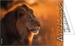 Calendrier publicitaire de poches, Nos animaux Préférés 3
