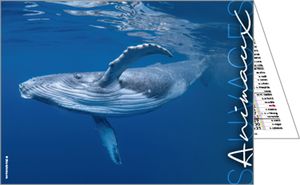 Calendrier publicitaire de poches, Nos animaux Préférés