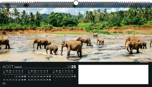 Calendrier publicitaire feuillets grand angle, Grand-angle 8