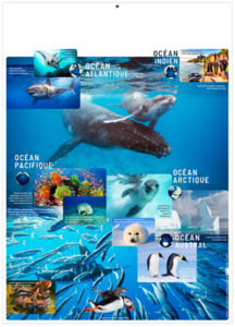 Calendrier publicitaire marianne bleu 2025 5