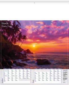 Calendrier publicitaire plage, Plages du monde 2