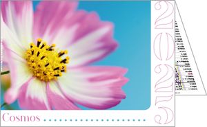 Calendriers de poches publicitaires fleurs, Floralis 1