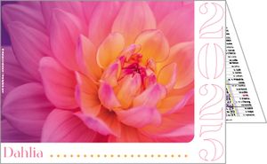 Calendriers de poches publicitaires fleurs, Floralis 2