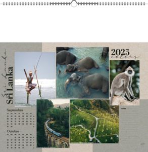 Calendriers publicitaire illustré - Colors 3