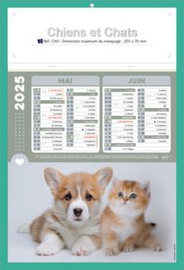 Calendriers publicitaires chats, Chiens et Chats 1