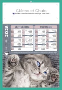 Calendriers publicitaires chats, Chiens et Chats 3