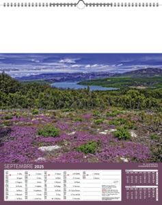 Calendriers publicitaires feuillets France, Calendrier Pays de France 9